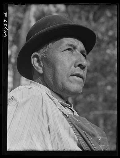 Untitled photo, possibly related to: Mr. Frank Barnett, a Negro farmer who is part Cherokee Indian. Scull Shoals, Greene County, Georgia