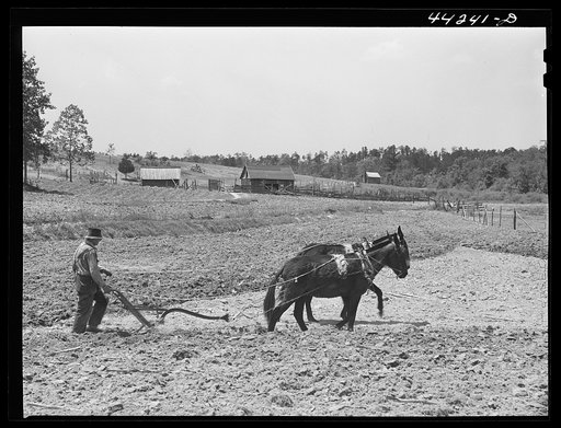 Untitled photo, possibly related to: Mr. Hubbard plowing on his farm in Greene County, Georgia
