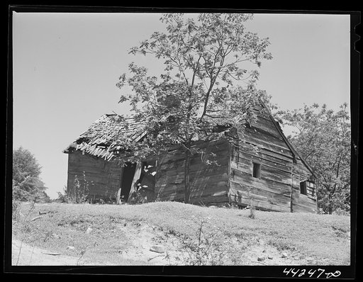 Old slave hut. Greene County, Georgia