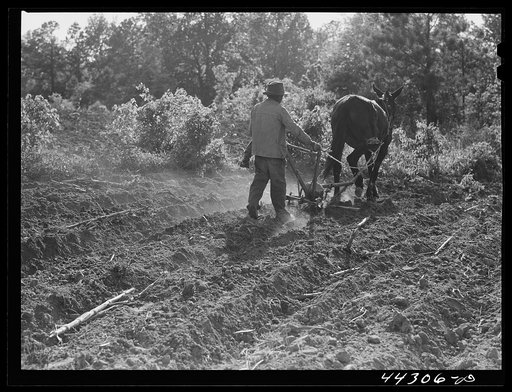 Untitled photo, possibly related to: One of Lloyd Rhode's children plowing their field near Bethany, Greene County, Georgia