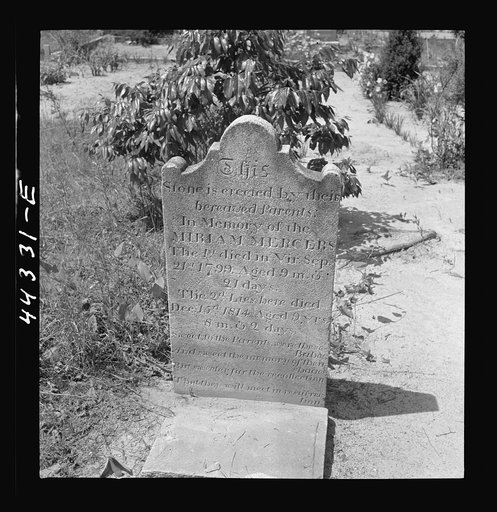 Gravestone in Greene County, Georgia