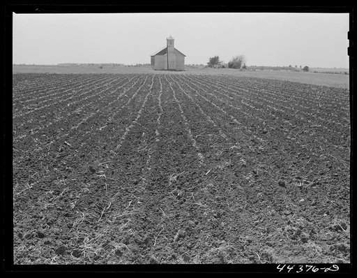 Church and cotton field near Greensboro, Alabama