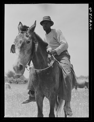 Negro cowhand in the Black Prairie region. Hale County, Alabama
