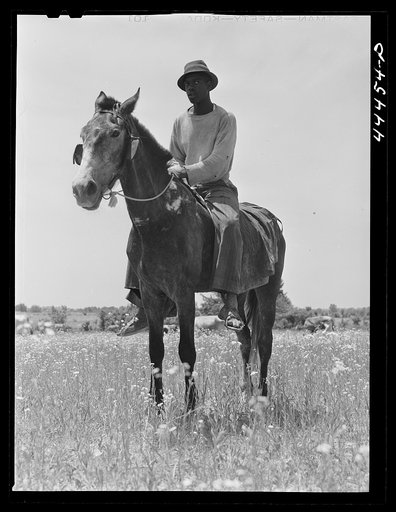 Negro cowhand in the Black Prairie region. Hale County, Alabama