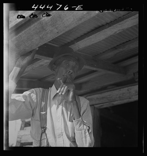 Untitled photo, possibly related to: Old Negro farmer and his grandson, near Greensboro, Alabama