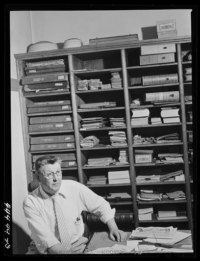 Mr. Wade H. West, county tax collector. Greene County, Georgia