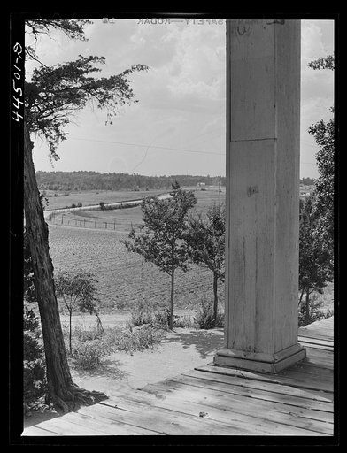 Landscape from the plantation house on the Jackson farm, near White Plains, Greene County, Georgia