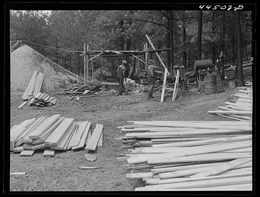 A small sawmill workings in southern Greene County, Georgia