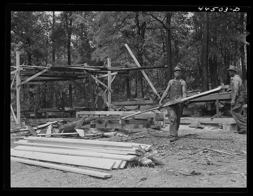 A small sawmill workings in southern Greene County, Georgia