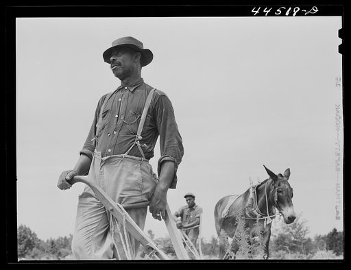 Mr. Jim Brown, Negro landowner near Siloam, Greene County, Georgia