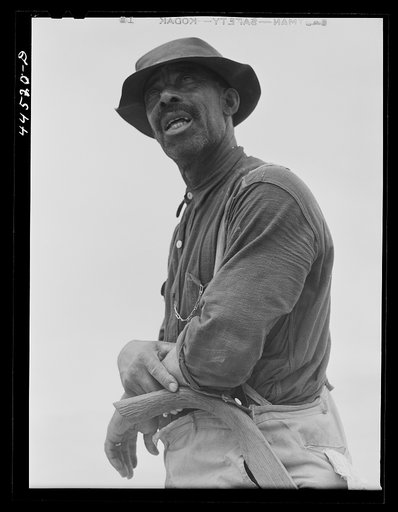 Untitled photo, possibly related to: Mr. Jim Brown, Negro landowner near Siloam, Greene County, Georgia
