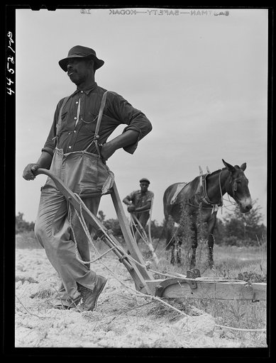 Mr. Jim Brown, Negro landowner near Siloam, Greene County, Georgia