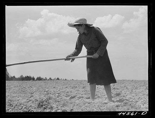 Mrs. Brice McKiver, chopping cotton on their rented farm. Near Woodville, Greene County, Georgia