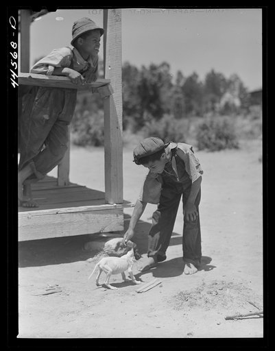 Two of the children of R. L. Smith playing with a sickly dog. FSA (Farm Security Administration) borrower. Woodville, Greene County, Georgia