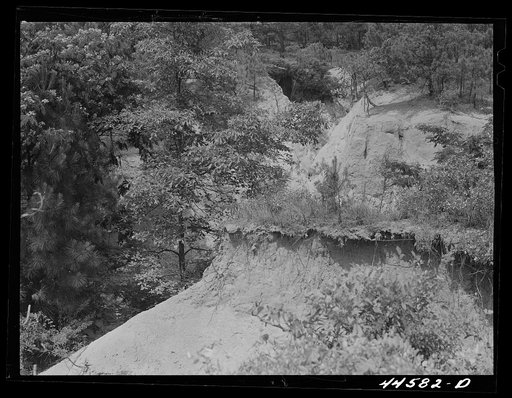 A gully near Penfield. Greene County, Georgia
