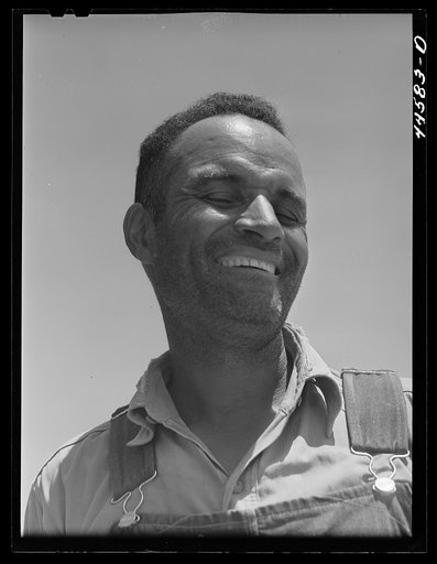 Untitled photo, possibly related to: Mr. Sam Bishop, FSA (Farm Security Administration) borrower on the Jones farm. Near Greshamville, Greene County, Georgia