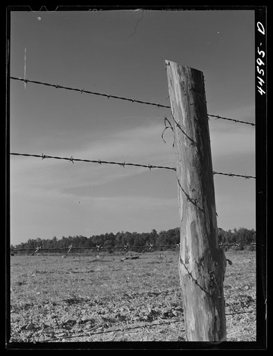 A FSA (Farm Security Administration) fence post. Greene County, Georgia