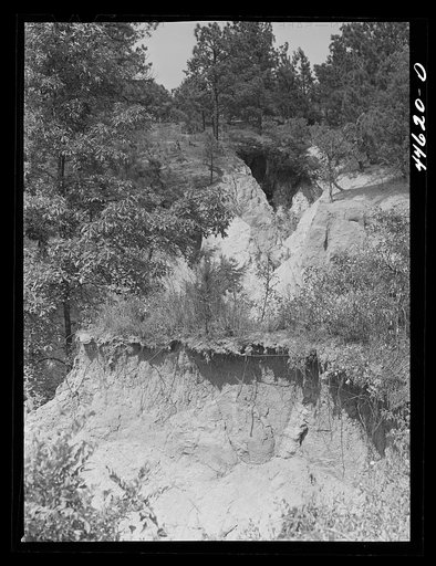 A gully near Penfield, Greene County, Georgia