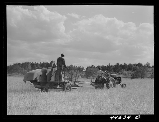 Harvesting wheat with a combine in northern Greene County, Georgia