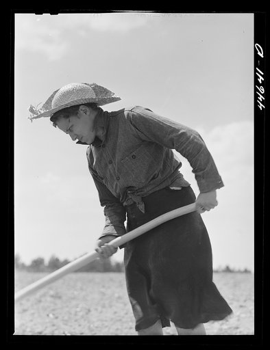 Untitled photo, possibly related to: Mrs. Brice McKiver, chopping cotton on their rented farm. Near Woodville, Greene County, Georgia