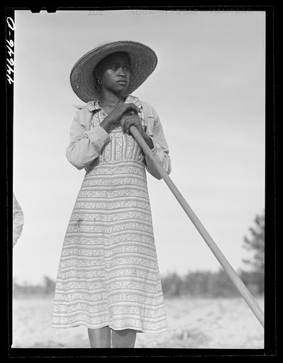 Mrs. LeRoy Dunn chopping cotton in a field near White Plains. Greene County, Georgia