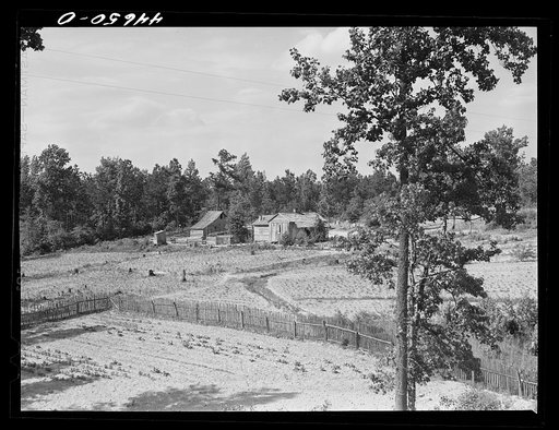 Negro tenant farm near Greensboro, Georgia. Greene County