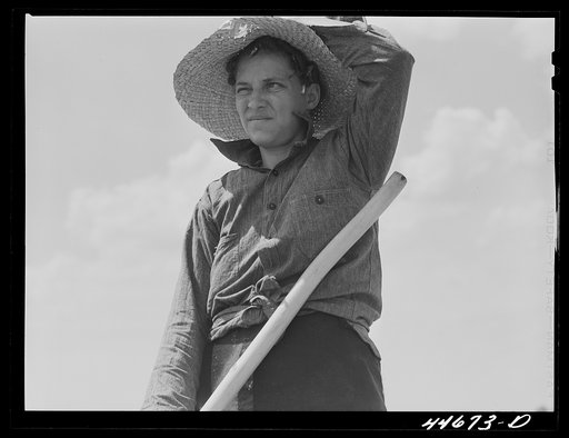 Untitled photo, possibly related to: Mrs. Brice McKiver, chopping cotton on their rented farm. Near Woodville, Greene County, Georgia