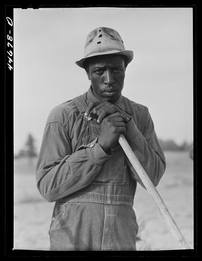 Mr. LeRoy Dunn, Negro tenant farmer in a field near White Plains, Greene County, Georgia