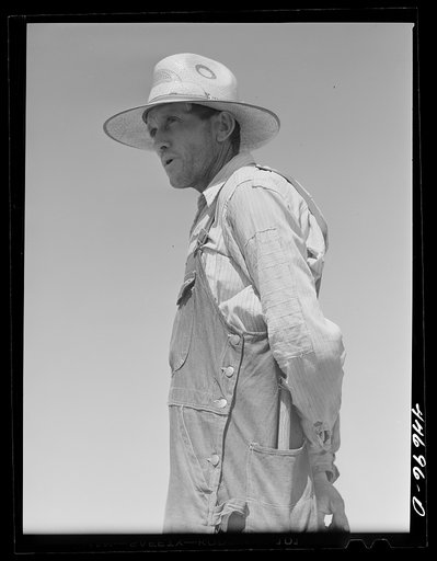 Mr. Carl Lankford, tenant farmer and FSA (Farm Security Administration) borrower near Bairdstown, Greene County, Georgia