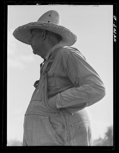 Untitled photo, possibly related to: A tenant purchase borrower, FSA (Farm Security Administration), in southern Greene County, Georgia
