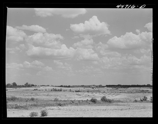 Greene County landscape on the Jackson farm near White Plains, Georgia