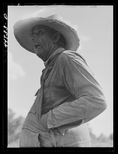 Untitled photo, possibly related to: A tenant purchase borrower, FSA (Farm Security Administration), in southern Greene County, Georgia