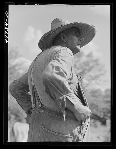A tenant purchase borrower, FSA (Farm Security Administration), in southern Greene County, Georgia