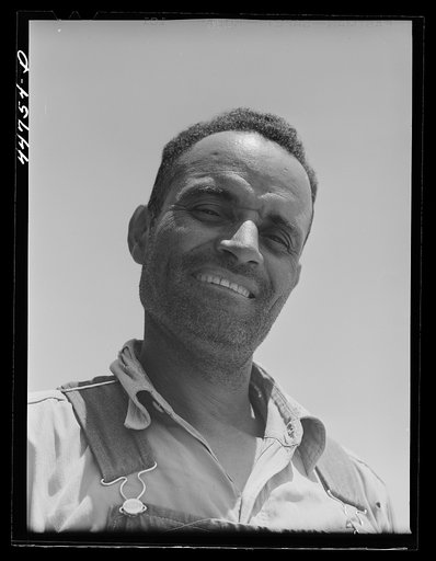 Mr. Sam Bishop, FSA (Farm Security Administration) borrower on the Jones farm. Near Greshamville, Greene County, Georgia