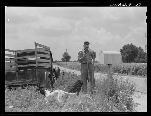 Landowner digging out his mailbox, which he will take with him when he moves out of the area taken over by the Army in Caroline County, Virginia