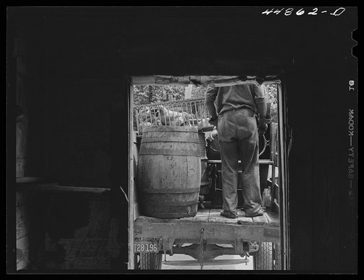 Untitled photo, possibly related to: Mrs. Russell Tombs and her family moving out of the area being taken over by the Army in Caroline County, Virginia