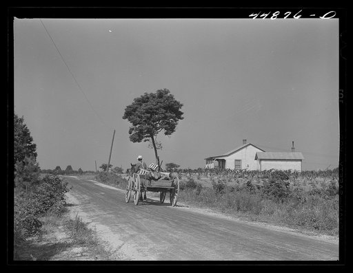 Negro farmer carting some of his farm equipment out of the area that is being taken over by the Army. Caroline County, Virginia