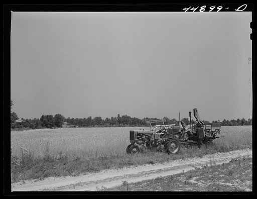 The government bought this wheat from a farmer who had to move out of the Army camp area. It was then sold to a contractor. Contractor's combine harvesting wheat. Caroline County, Virginia