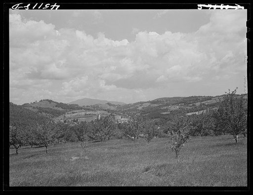 Untitled photo, possibly related to: General view of Springfield, Vermont