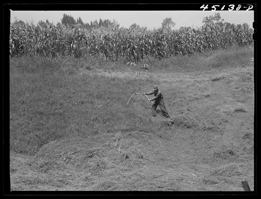 Cutting hay on a steep slope near Windsor, Vermont
