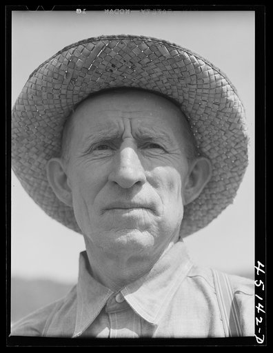 Untitled photo, possibly related to: Gathering hay on the farm of Emanuel Rink, FSA (Farm Security Administration) dairy farmer near Brookline, Vermont