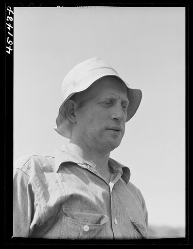 Untitled photo, possibly related to: Gathering hay on the farm of Emanuel Rink, FSA (Farm Security Administration) dairy farmer near Brookline, Vermont