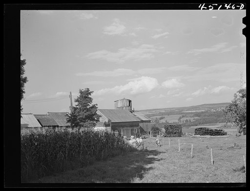 Untitled photo, possibly related to: Farm landscape near Bellows Falls, Vermont