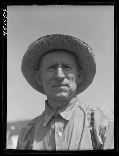 Untitled photo, possibly related to: Gathering hay on the farm of Emanuel Rink, FSA (Farm Security Administration) dairy farmer near Brookline, Vermont
