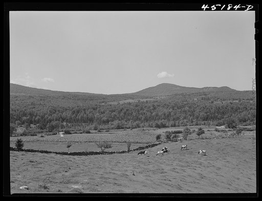 Landscape near Springfield, Vermont