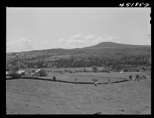 Untitled photo, possibly related to: Landscape near Springfield, Vermont