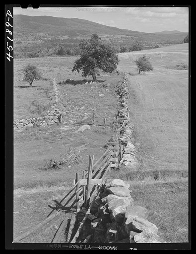 Stone fence near South Londonderry, Vermont