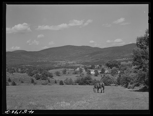 Landscape near South Londonderry, Vermont