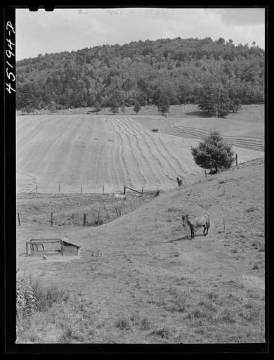 Farm landscape near Hanover, New Hampshire