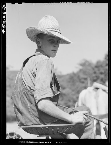 Son of Silas Butson, FSA (Farm Security Administration) client, helping to cut the hay. Athens, Vermont